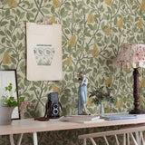 Angas - Pirum - 13102