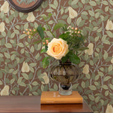 Angas - Pirum - 13103