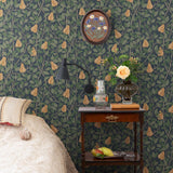 Angas - Pirum - 13104