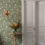 Angas - Pirum - 13105