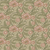 Angas - Esther - 13115