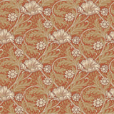 Angas - Esther - 13116