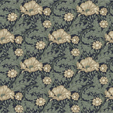 Angas - Esther - 13118