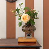 Angas - Frederik - 13121