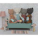 Chatons, Kitten - Grey