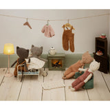 Chatons, Kitten - Grey