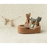 Chatons, Kitten - Grey