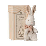 My first bunny - Powder