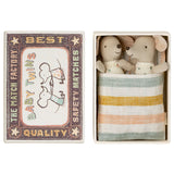 Twins, Baby Mice In Matchbox