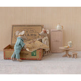 Mum & Dad mice in cigarbox