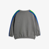 The milky way rainbow panel sweatshirt - Grey