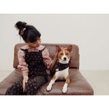 Aster Bow Collar Blouse - Aster