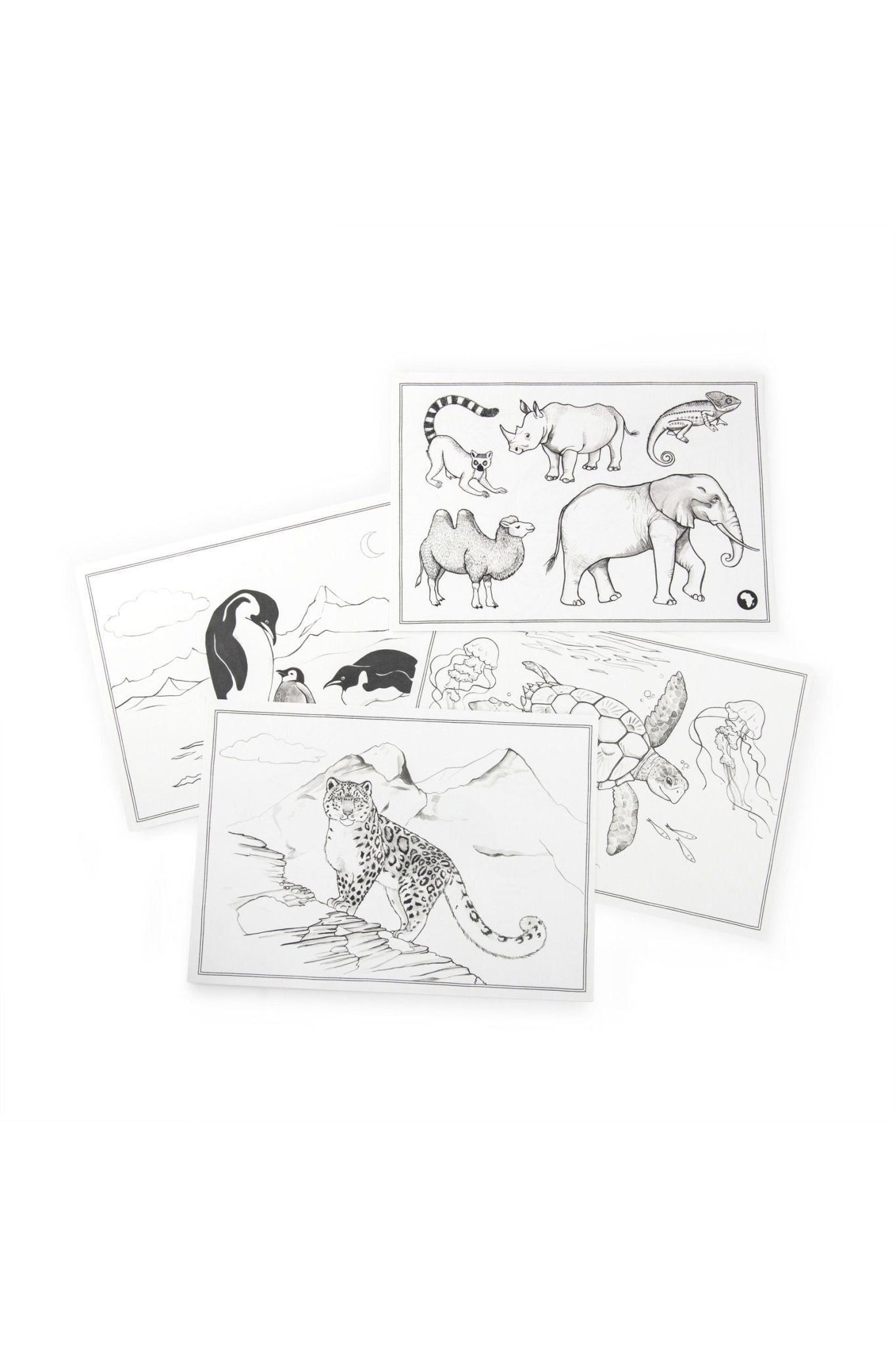 24 tekenmodellen Kidywolf - Tout autour du monde van Moulin Roty | Kids Conceptstore Le Fanfare