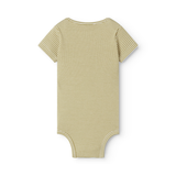 Ben SS - Modal Fine Rib - Olive Stripe