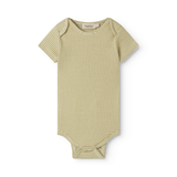 Ben SS - Modal Fine Rib - Olive Stripe