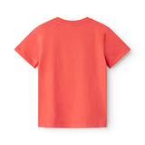 Tad - Cotton Jersey - Pearfect