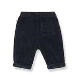 Quebec lined pants - blue