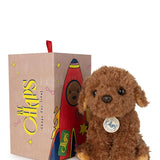 B.T. Chaps Stacy the Labdradoodle in giftbox