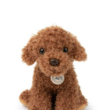 B.T. Chaps Stacy the Labdradoodle in giftbox