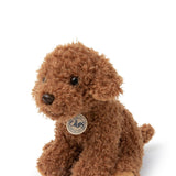 B.T. Chaps Stacy the Labdradoodle in giftbox