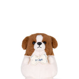 B.T. Chaps Joe the Cocker Spaniel ECO