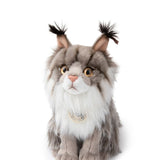 B.T. Chaps Nancy the Norwegian Forest Cat