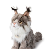 B.T. Chaps Nancy the Norwegian Forest Cat