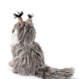 B.T. Chaps Nancy the Norwegian Forest Cat