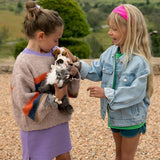 B.T. Chaps Nancy the Norwegian Forest Cat