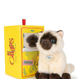 B.T. Chaps Eddie the Siamese in giftbox