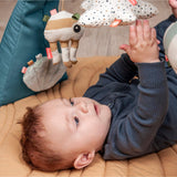 Activity gym with play mat Sea friends Colour Mix