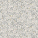 Anno - Waldemar - Grey