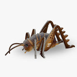 Insect - Reuzenweta