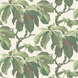 New Heritage - Kastanj - Green