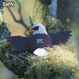 Vogel - Amerikaanse Zeearend