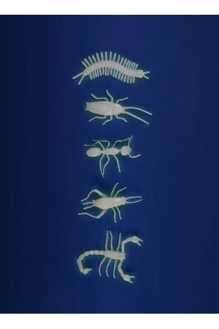 5 glow-in-the-dark insekten van Moulin Roty | Kids Conceptstore Le Fanfare
