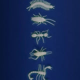 5 glow-in-the-dark insekten van Moulin Roty | Kids Conceptstore Le Fanfare