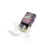 5 glow-in-the-dark insekten van Moulin Roty | Kids Conceptstore Le Fanfare