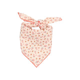 Picnic Bandana - Coral