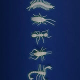 5 glow-in-the-dark insekten