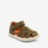 bisgaard carlo - olive
