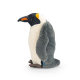 Pinguin - Tout autour du monde