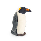 Pinguin - Tout autour du monde