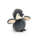 Kleine pinguin - Tout autour du monde
