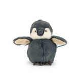 Kleine pinguin - Tout autour du monde