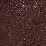 Smooth Lion - chocolate fondant