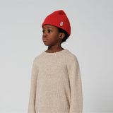 Red Dragon - poppy flower red
