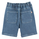 Short Fitte Denim Raye - Denim Raye