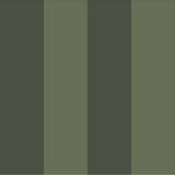 Angas - Frederik - 13123