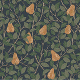 Angas - Pirum - 13104 van Midbec | Kids Conceptstore Le Fanfare